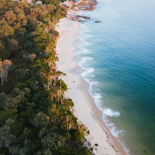 A birds eye view of the Royal National park